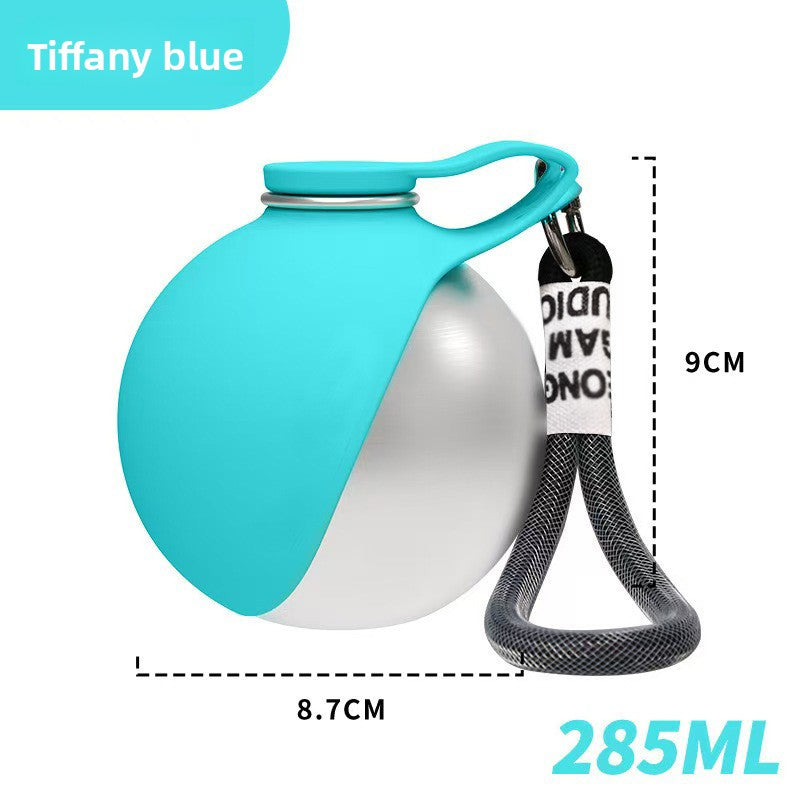 Portable Stainless Steel Pet Travel Water Bottle