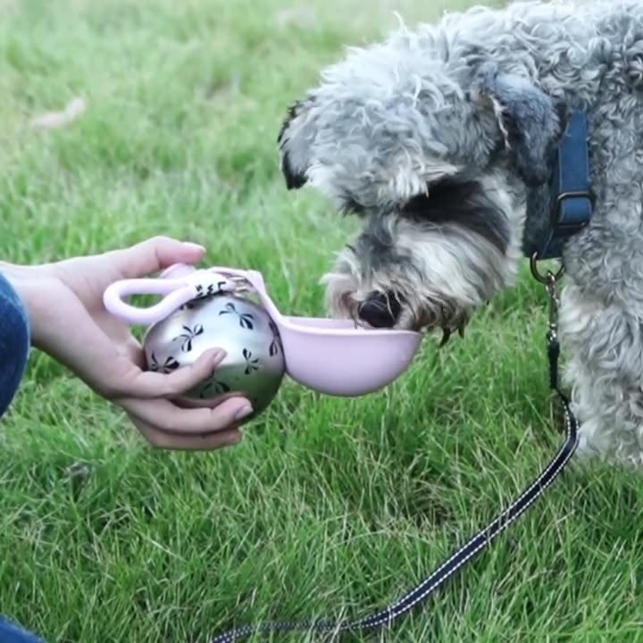 Portable Stainless Steel Pet Travel Water Bottle